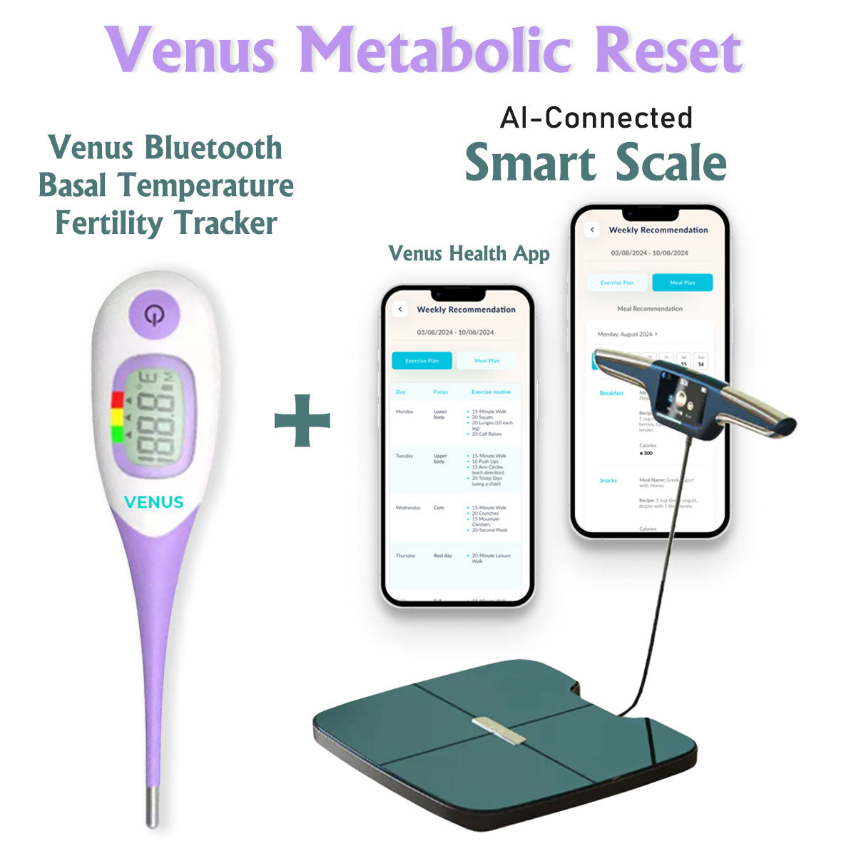 Venus Metabolic Reset